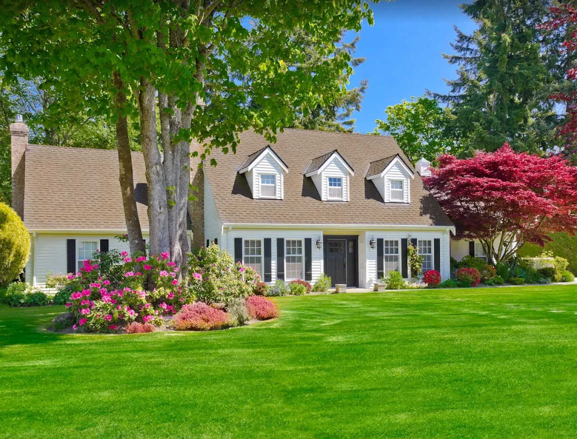 Manicured front lawn and flowering beds at a white Cape Cod home