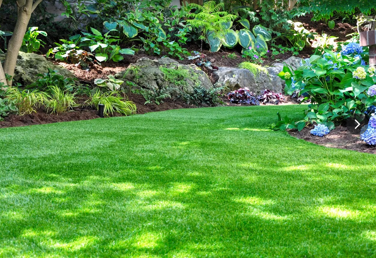 Shaded garden bed with hostas and hydrangeas beside a lush lawn